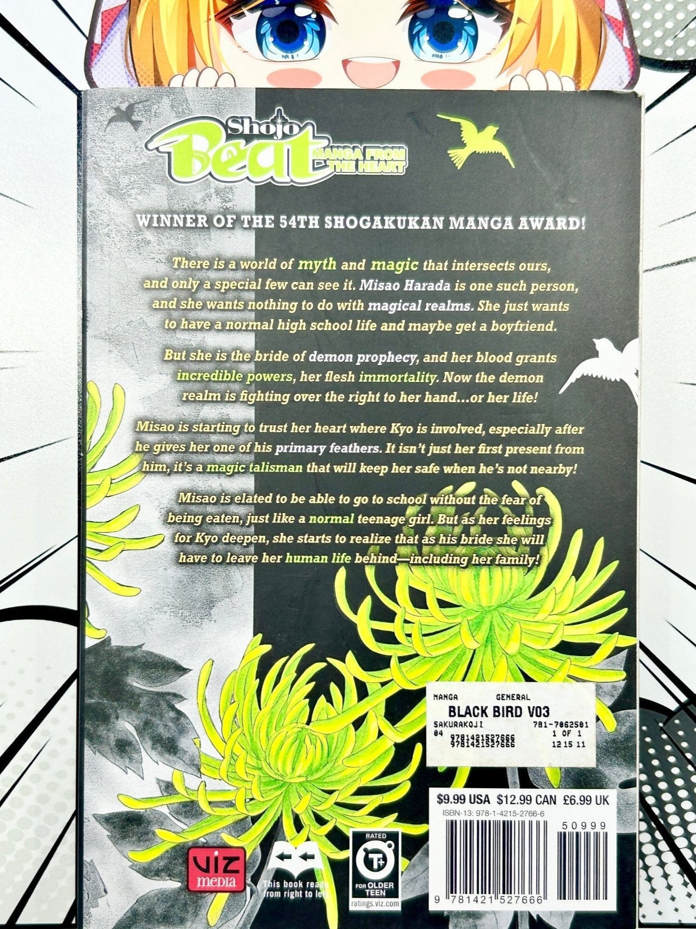 Black Bird Vol 3 - Used