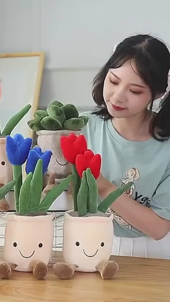 Kawaii Plant Plushies Video