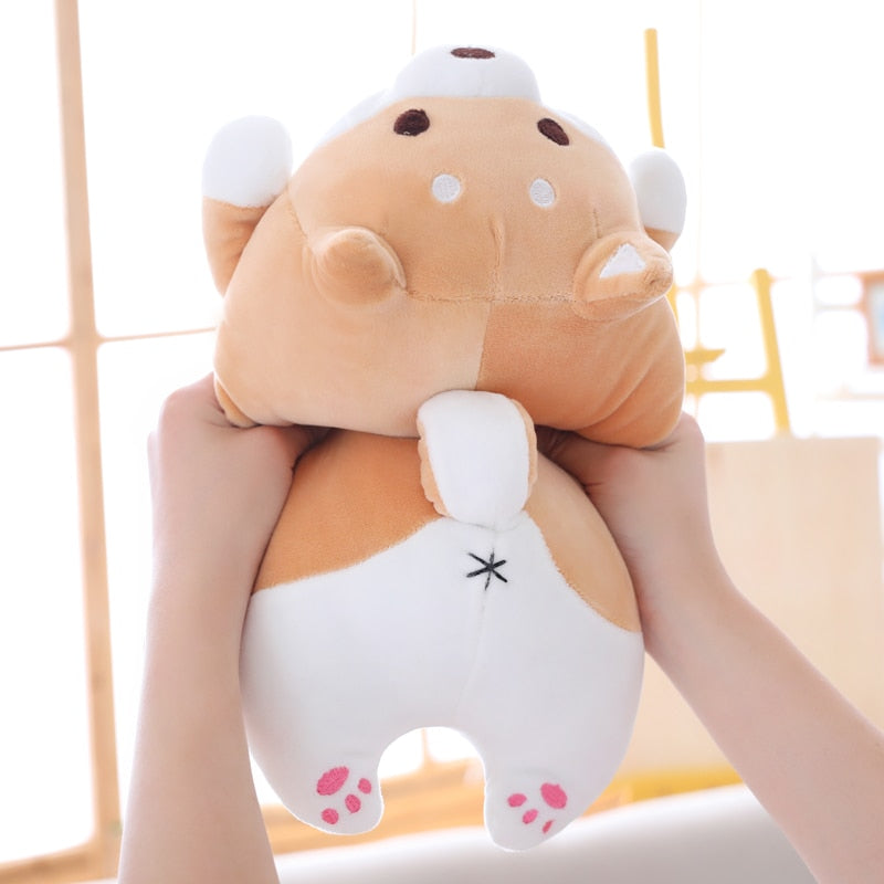 Hands Holding a Kawaii Shiba Inu Plushie