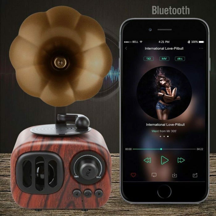 Kawaii Retro Phonograph Bluetooth Speaker