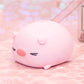 Kawaii Piggy Banks