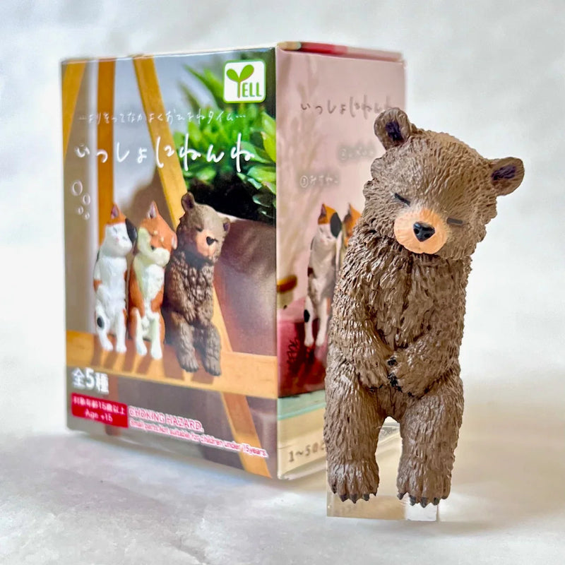 Plush bear toy standing next to its packaging box on a white background
