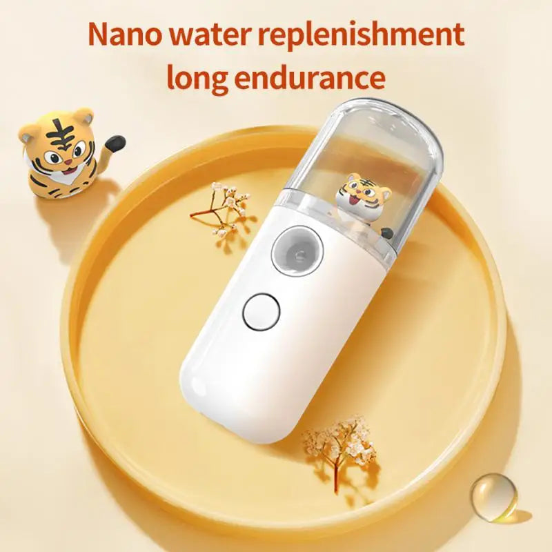 Cute Chargeable Facial Steamer Spray