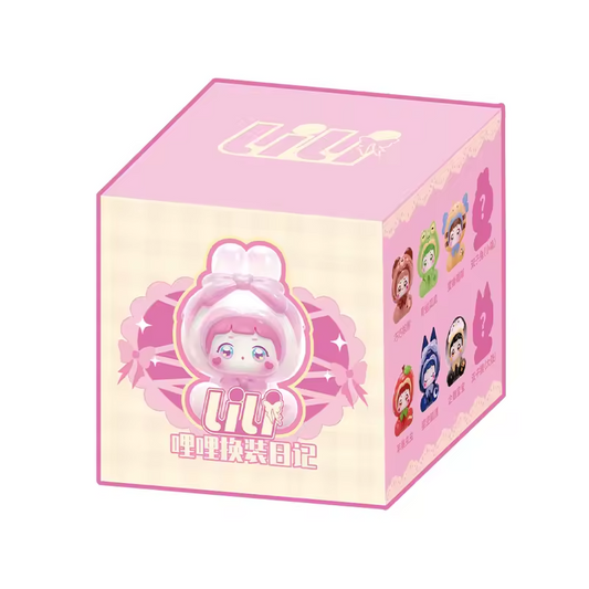 Lili Dress-Up Diary Series , displaying the packaging it comes in