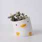 Kawaii Crooked Duck Planter