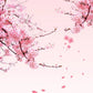 Cherry blossom branches with pink flowers on a light pink background