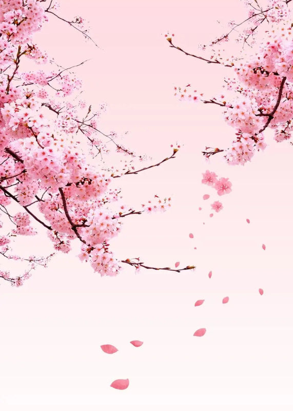Cherry blossom branches with pink flowers on a light pink background