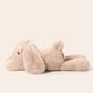Plush rabbit toy on a light background