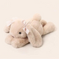 Kawaii plush rabbit toy with a bow on a light background.
