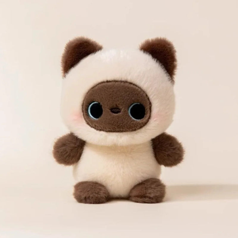 Kawaii Cutie Club Cat front view 