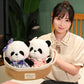 Princess Panda Plushies