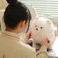 Person playing with a fluffy white pomeranian plush toy that is sitting on a desk.