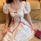 Kawaii Rose Print Lace Dress