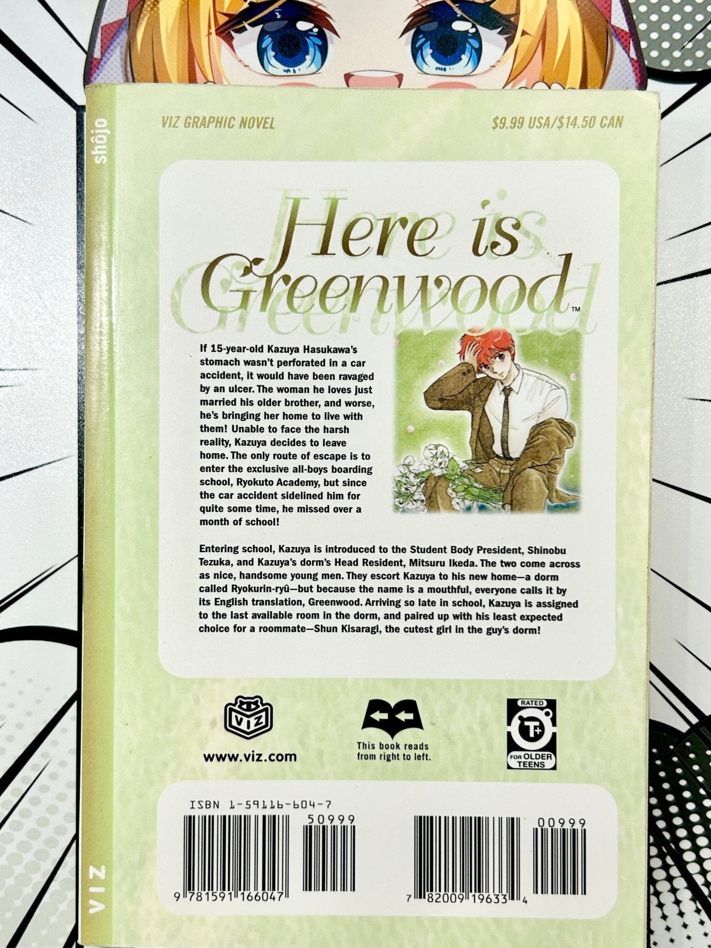 Here is Greenwood Vol 1 - Used