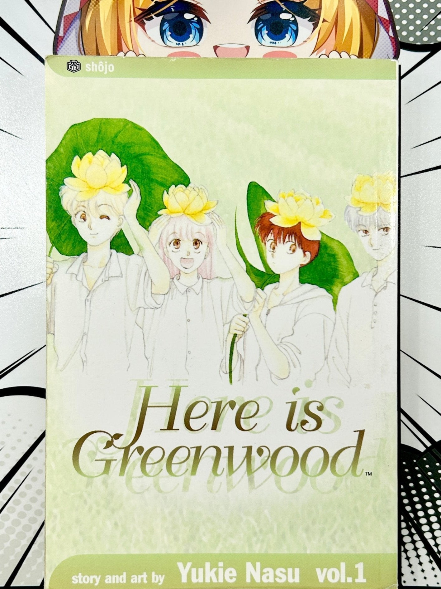 Here is Greenwood Vol 1 - Used