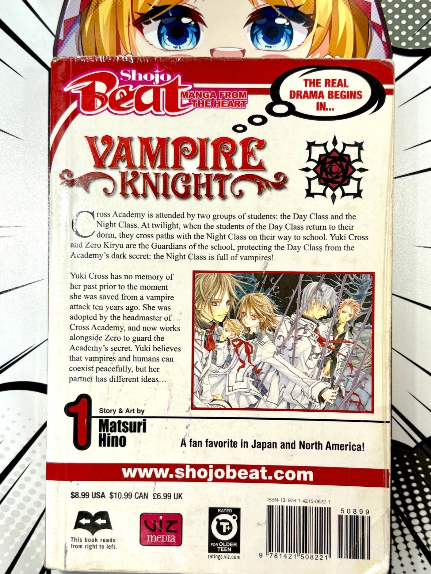 Vampire Knight Vol 1 - Used