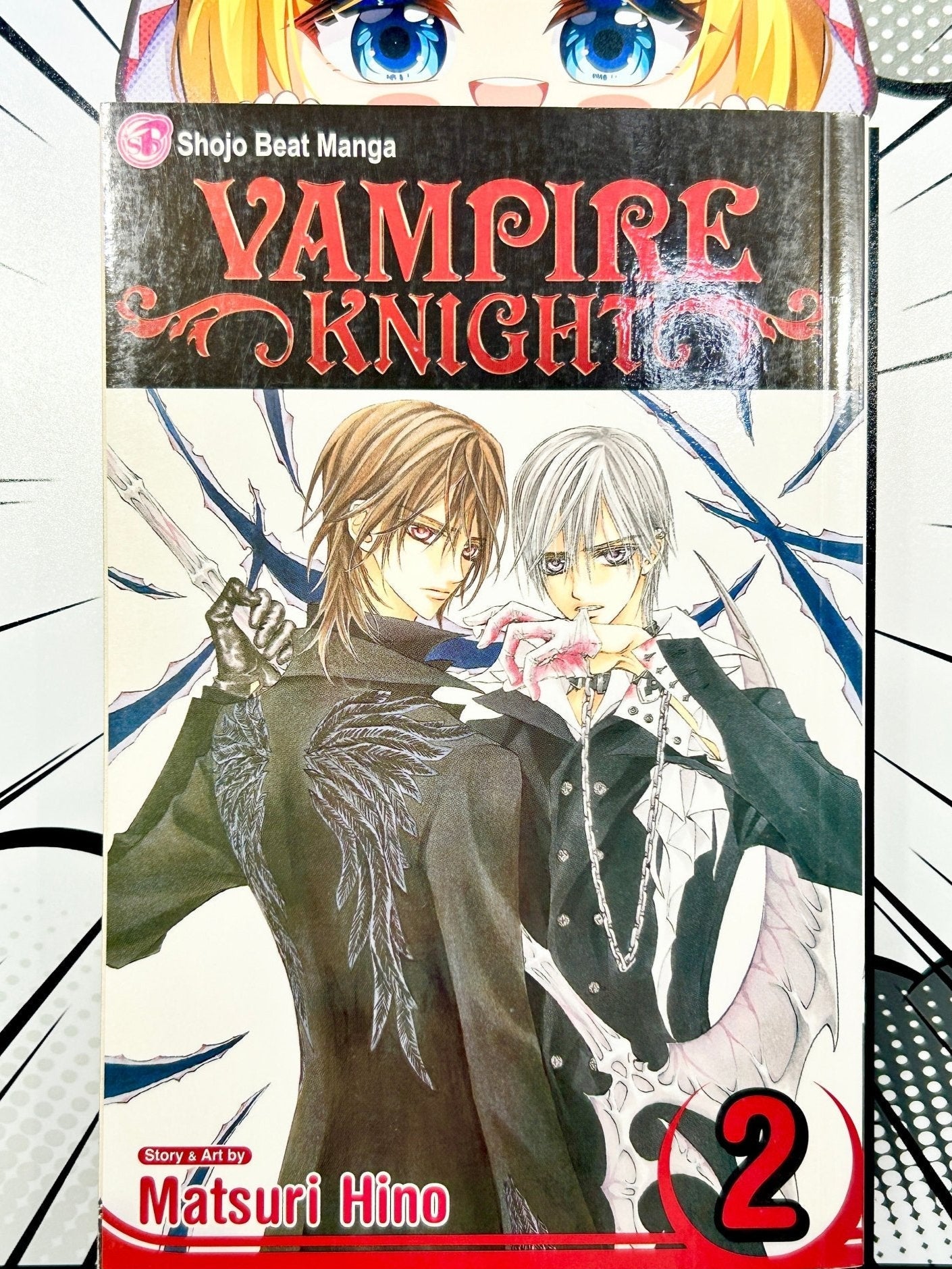 Vampire Knight Vol 2 - Used