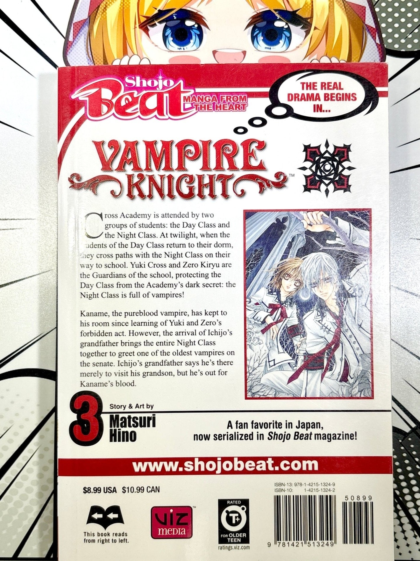 Vampire Knight Vol 3 - Used