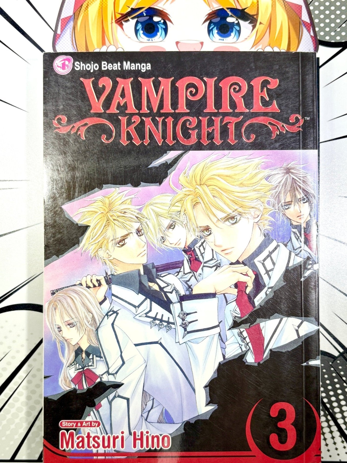 Vampire Knight Vol 3 - Used