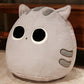 Cat Plushies