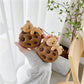 Kawaii Chocolate Chip Bear Airpods Cases
